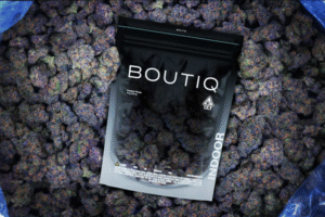 Boutiq Indoor Flower